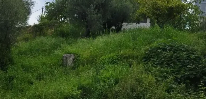 1050
