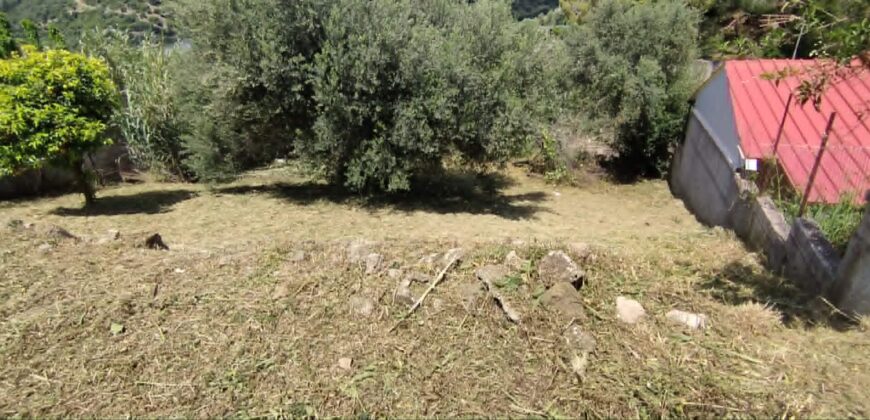 670